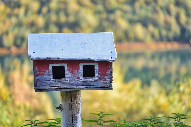 Upcycled Bird Feeder
